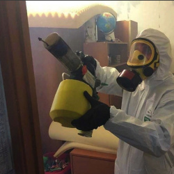 Уничтожение клопов в квартире. Обоянь